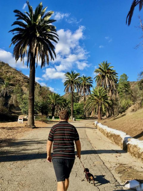 Walking at dog at Runyon Canyon Park