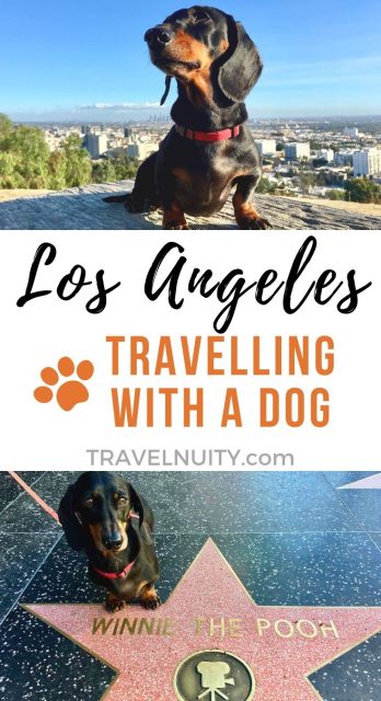 Dog Friendly Los Angeles Visiting La