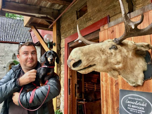 Posing next to a moose head in Bryggen