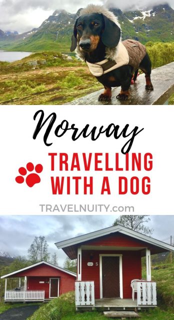 Norway Dog-Friendly Travel pin