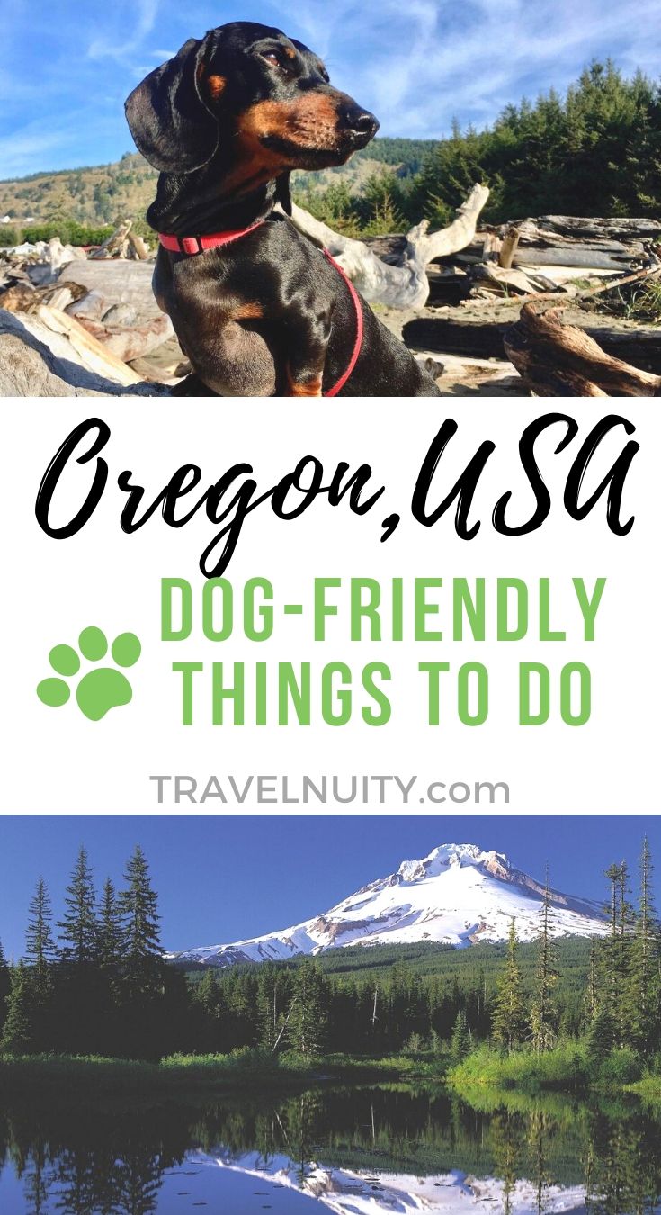 dog friendly oregon road trip