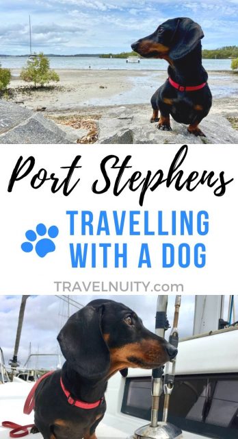 Port Stephens Dog-Friendly Travel pin