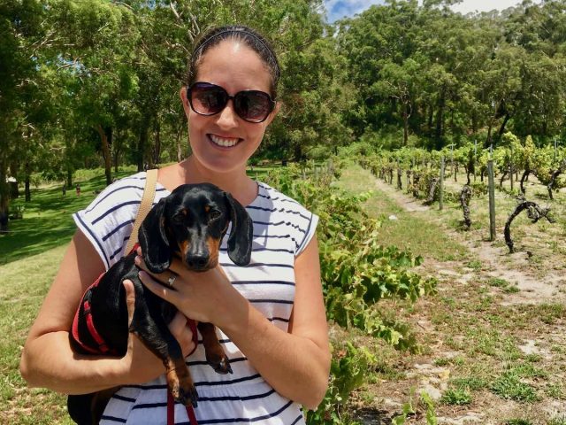 Port Stephens Winery with dog