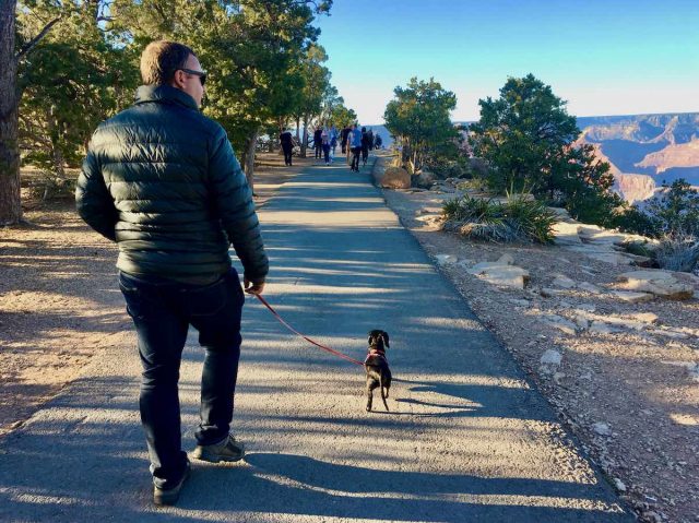 Dog-friendly Grand Canyon