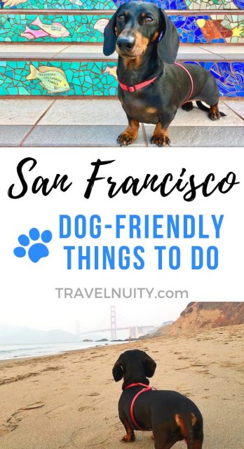 San Francisco Dog-Friendly Things To Do pin