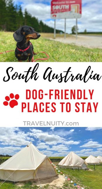 Pet-Friendly Accommodation South Australia