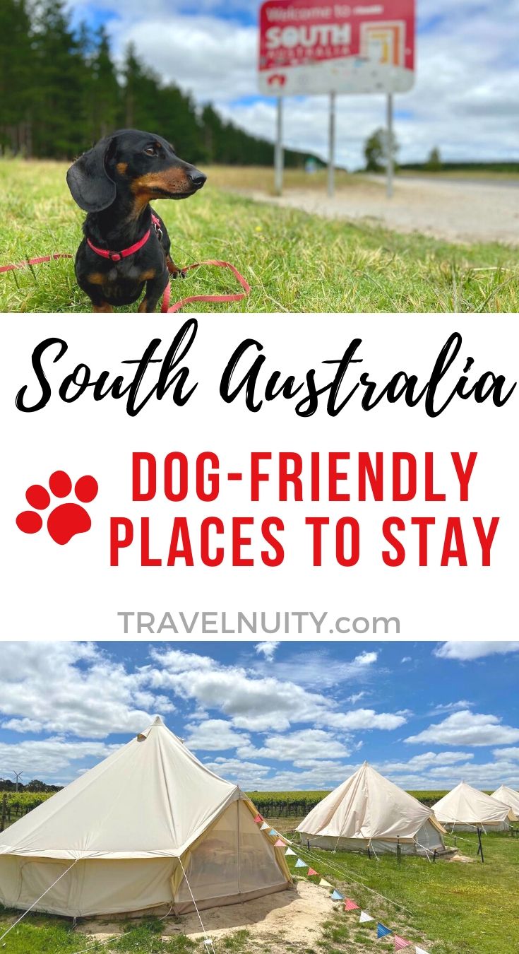 12 Top DogFriendly Places to Stay in South Australia Travelnuity