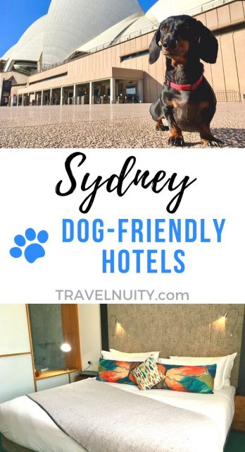 Sydney Dog-Friendly Hotels