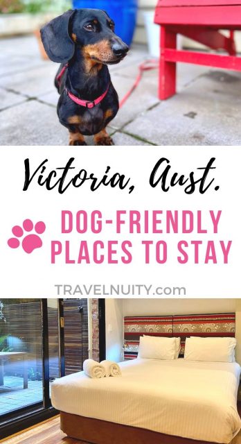 Victoria Dog-Friendly Places to Stay pin