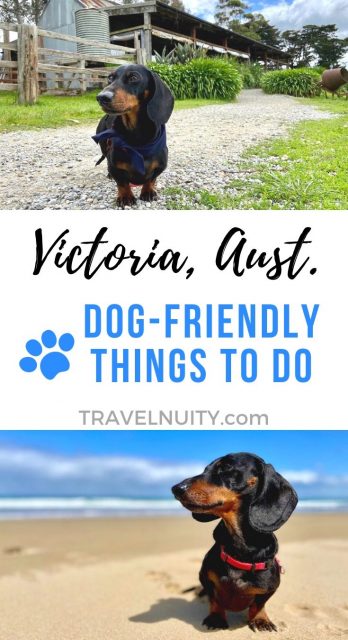 Victoria Dog-Friendly Things To Do