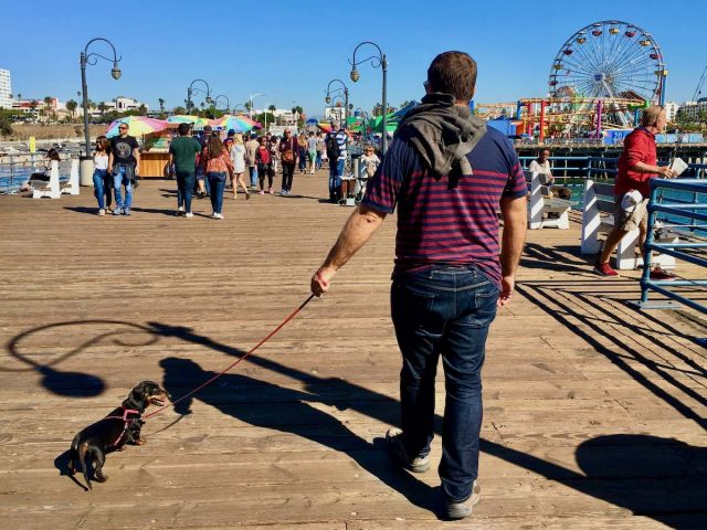 Walking on Santa Monica Pier with dog