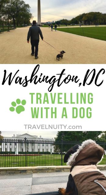 Washington DC Dog-Friendly Travel