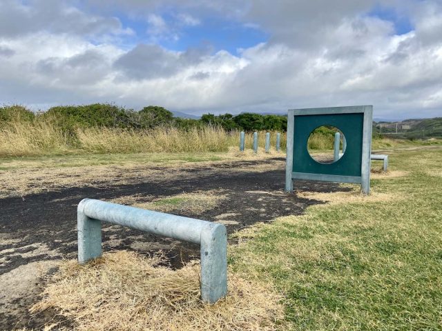 Bombo Beach Headland dog park