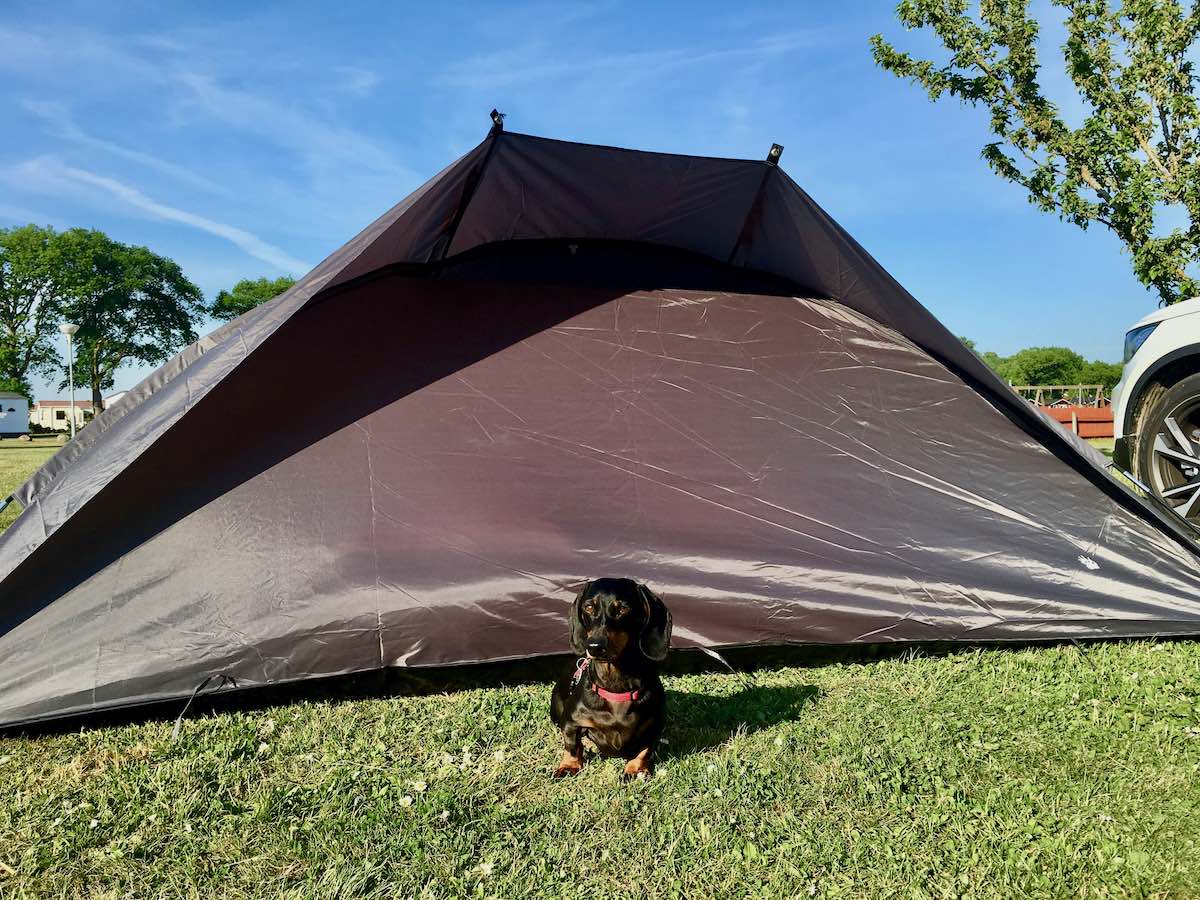 How to Go Camping with Your Dogs in Australia Travelnuity