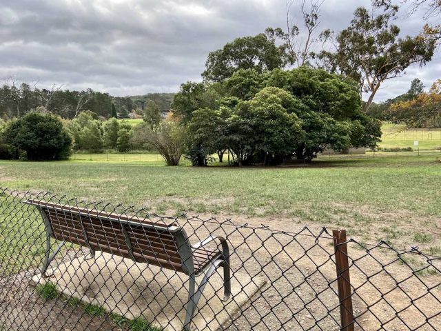 Centennial Park Dog Park