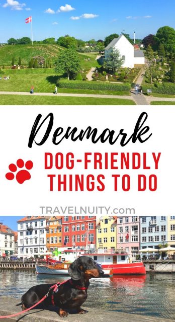 Dog-friendly things to do in Denmark pin