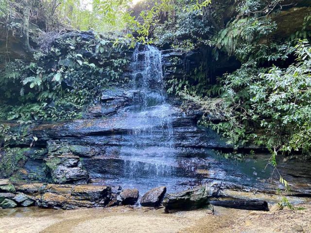 Waterfall along the South Lawson Waterfall Loop Track