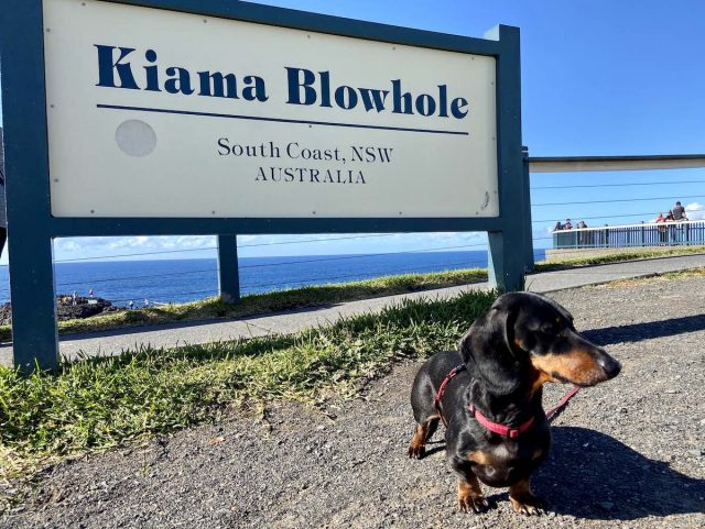 Kiama Blowhole sign