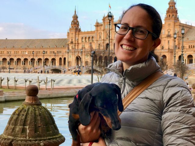 Dog-friendly things to do in Spain