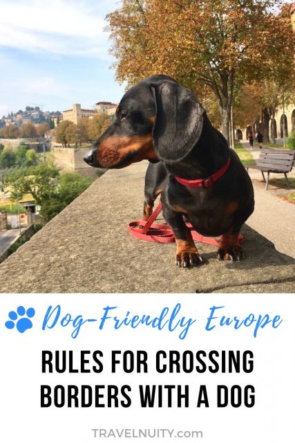 Rules for Travelling With a Dog Between European Countries