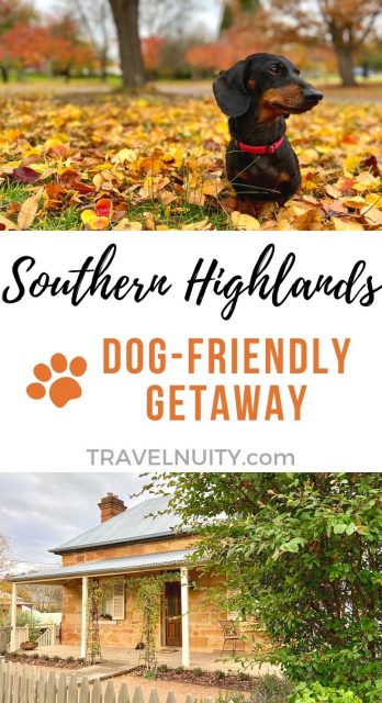 Southern Highlands Dog-Friendly Travel