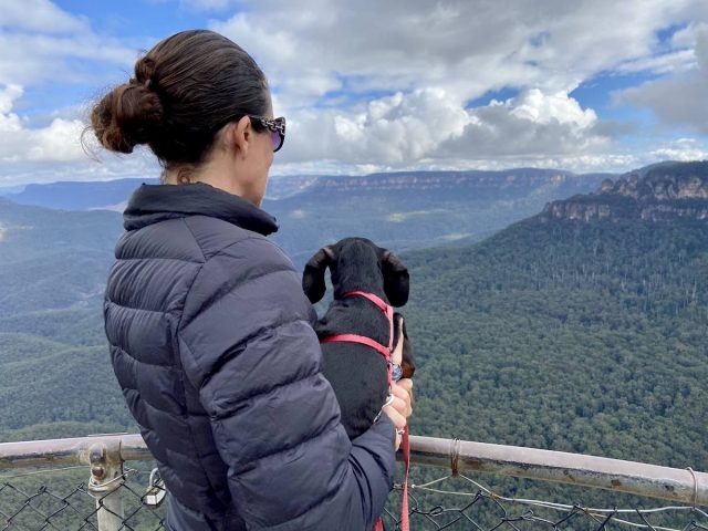 Sublime Point with Dog