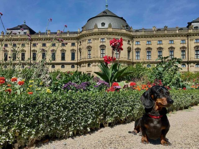 Dog-friendly Würzburg Residence gardens