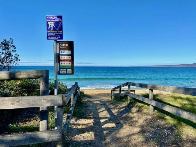 Aslings Beach Eden
