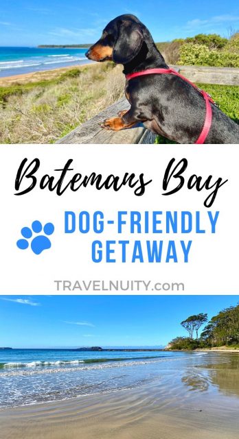 Batemans Bay Dog-Friendly Travel pin