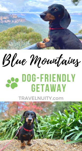 Blue Mountains Dog-Friendly Travel