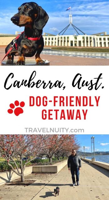 Canberra Dog-Friendly Getaway pin