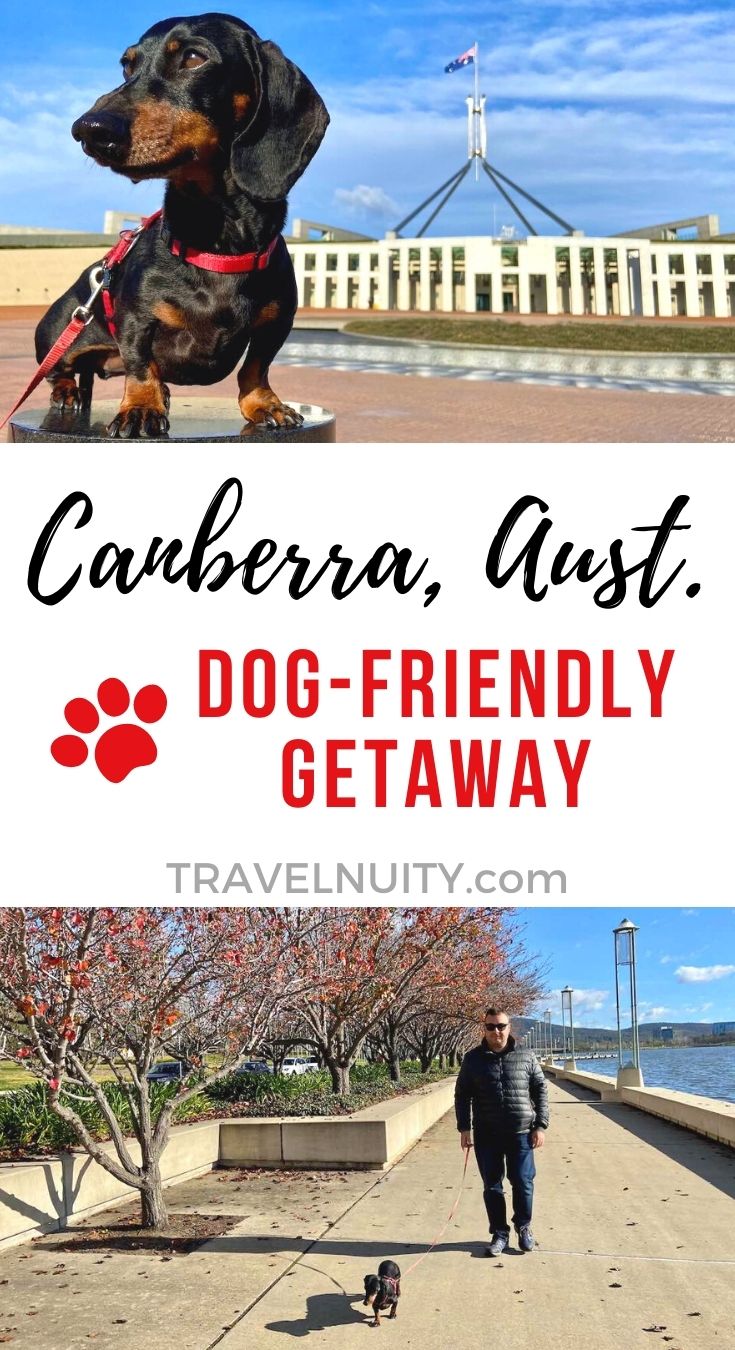 DogFriendly Canberra Visiting Canberra with a Dog Travelnuity