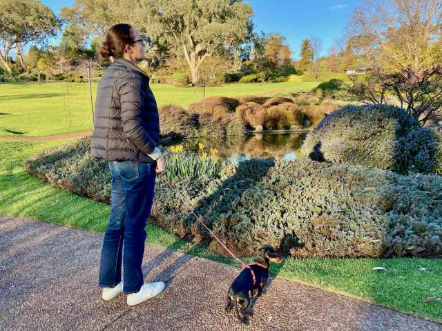 The Cowra Japanese Garden with dog