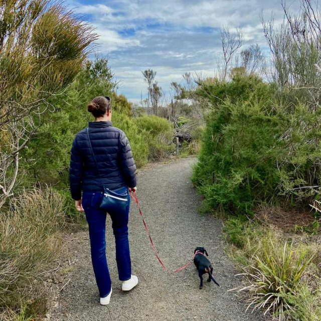 Walking with dog