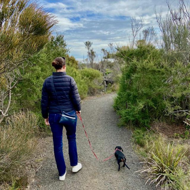 Walking along the dog-friendly One Track for All