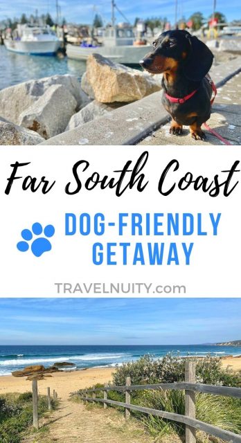 Far South Coast Dog-Friendly Getaway pin