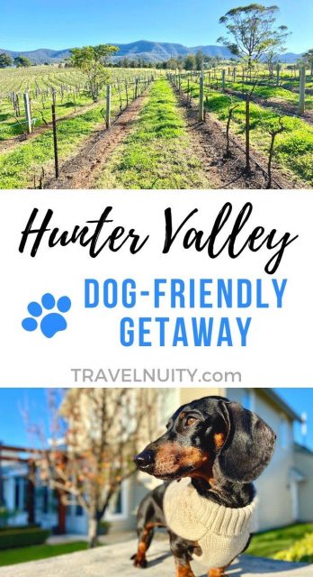 Dog-friendly Hunter Valley pin