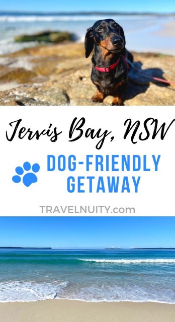 Jervis Bay Dog-Friendly Travel