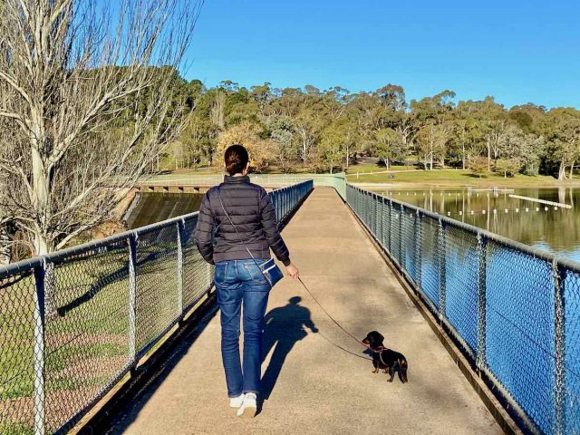 Lake Canabolas Dam Wall with Dog