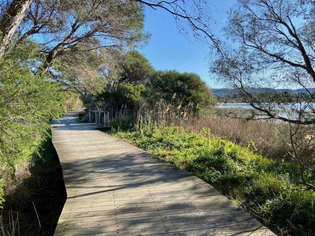 Lake Curalo Boardwalk