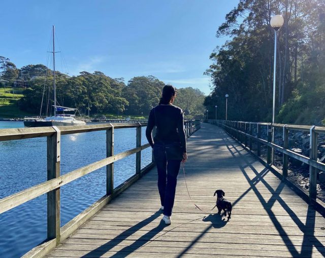 The Mill Bay Boardwalk, a dog-friendly walk in Narooma