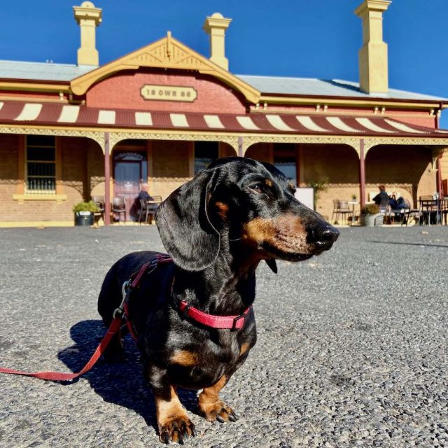 Outside the historic train station in Milthorpe