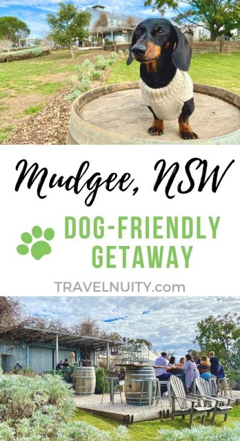 Dog-Friendly Mudgee pin