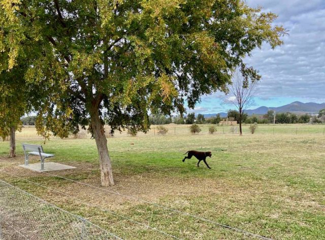 Mudgee Off-Leash Dog Park