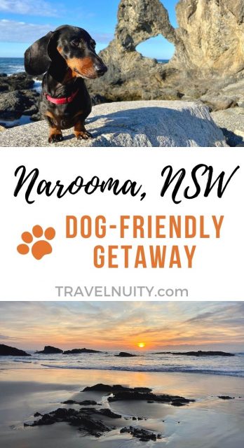 Dog-Friendly Narooma