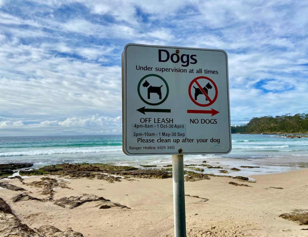 DogFriendly Mollymook & Ulladulla Visiting with a Dog Travelnuity