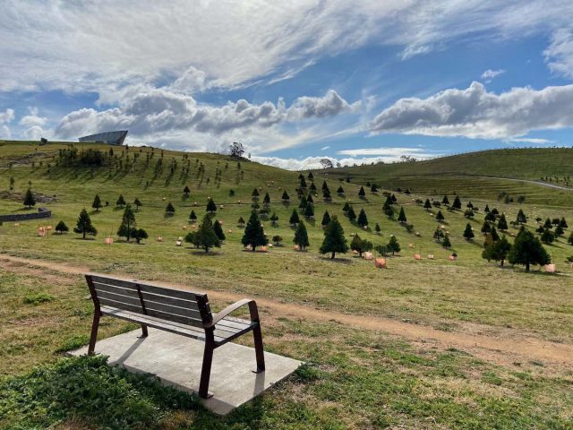 Looking across the National Arboretum