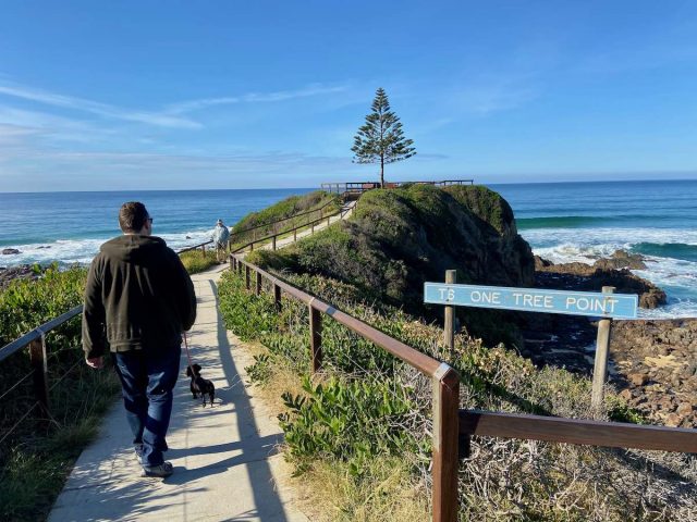 One Tree Point Lookout