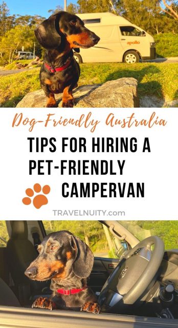 Pet-Friendly Campervan in Australia