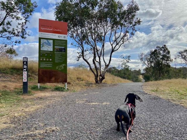 At the start of the Shepherds Lookout Walk